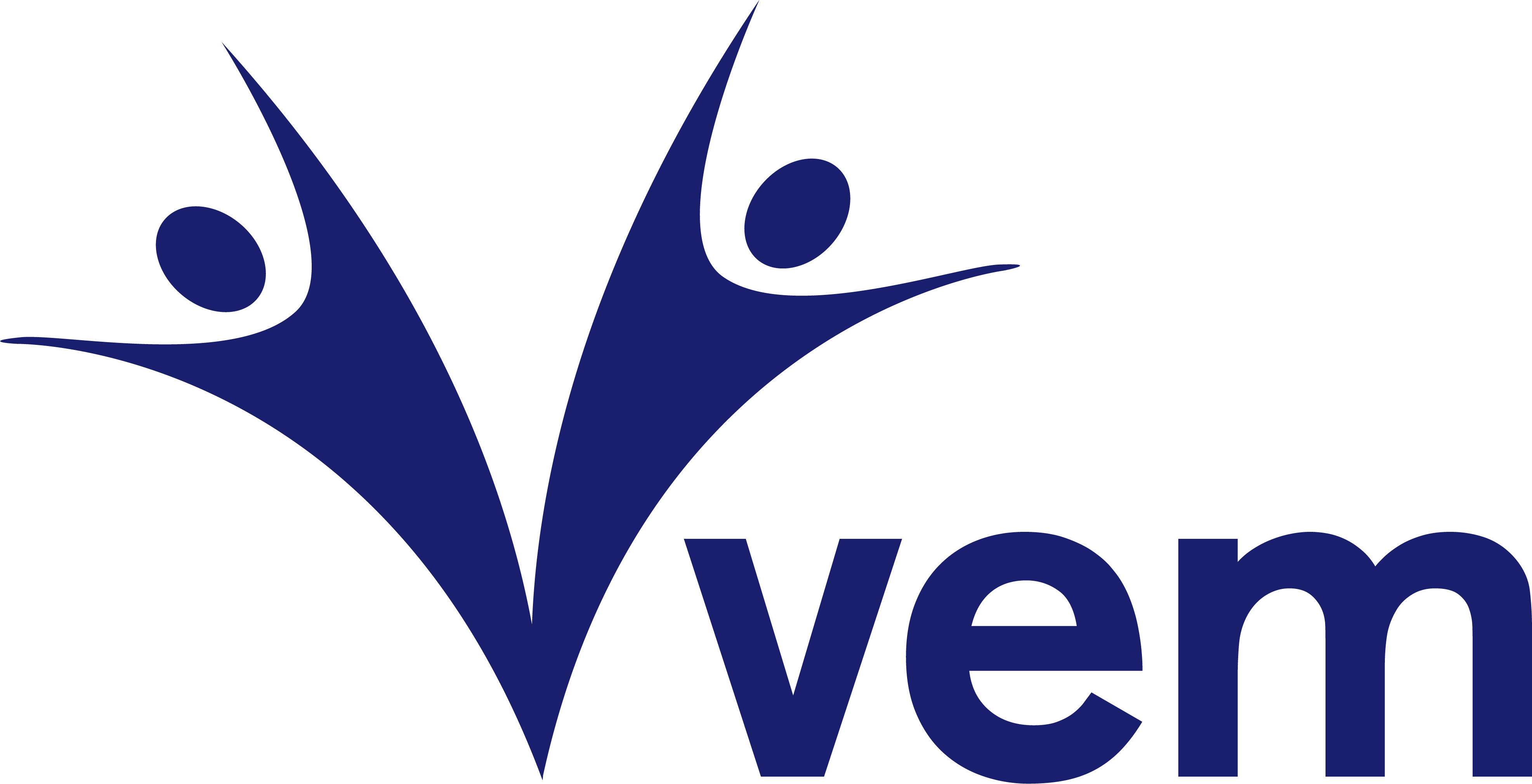 VBS Otomasyon Referans Partneri - VEM İlaç